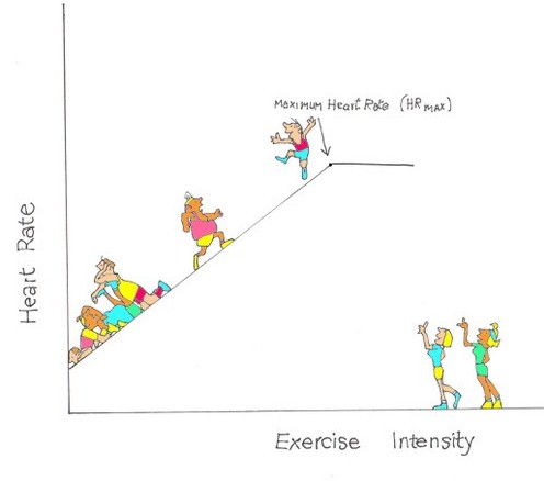 An image of MEASURING PHYSICAL FITNESS